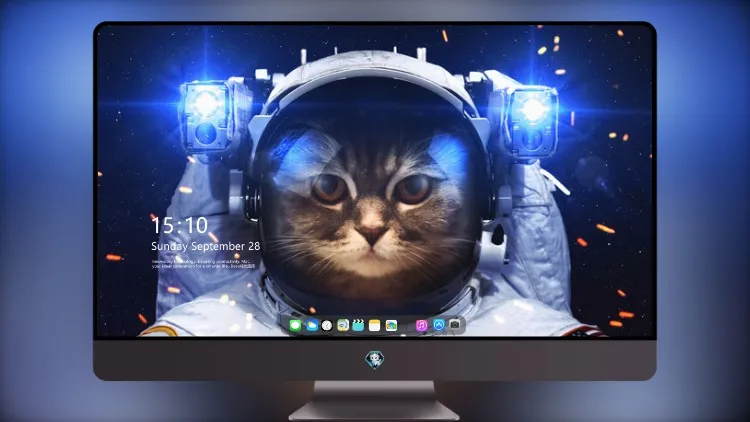 
宇航员猫