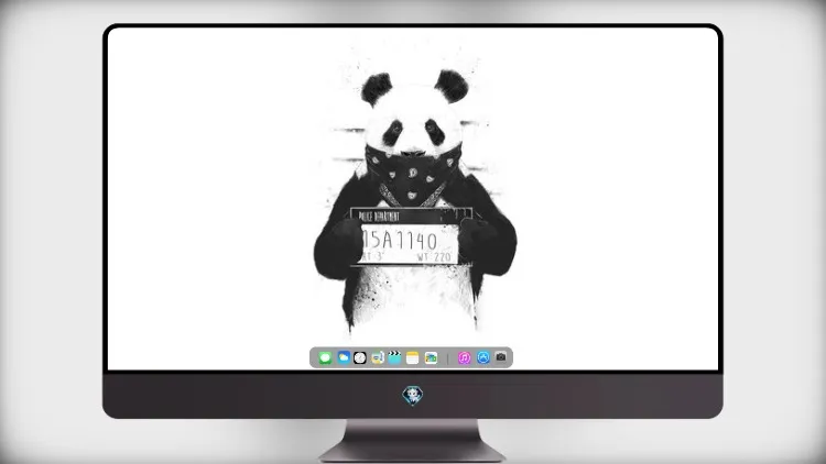 
坏熊猫