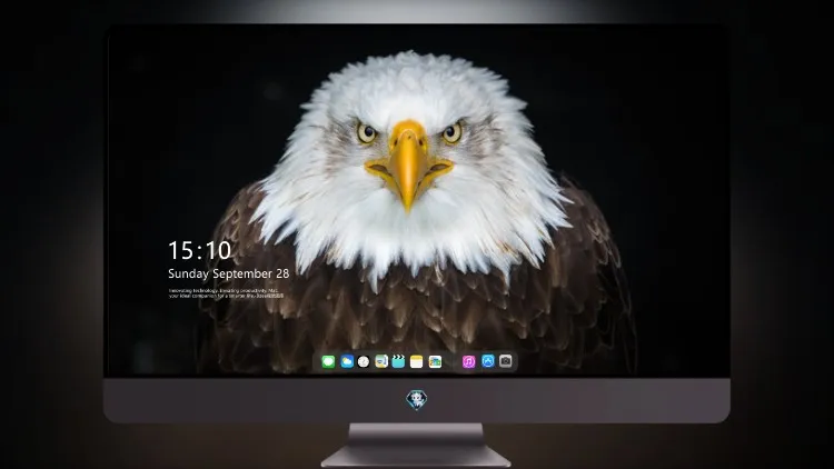 
秃头鹰8k