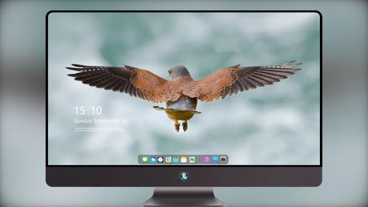 
鸟的翅膀