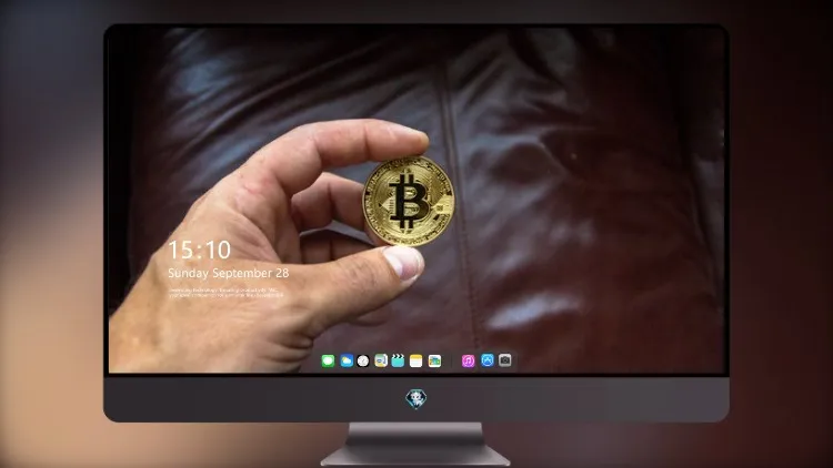 
比特币硬币在人手中