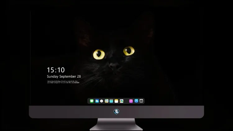 
黑猫眼睛黑暗 5k壁纸超清桌面屏保