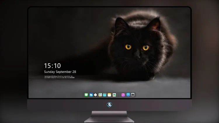 
黑猫发光的眼睛 4k电脑壁纸