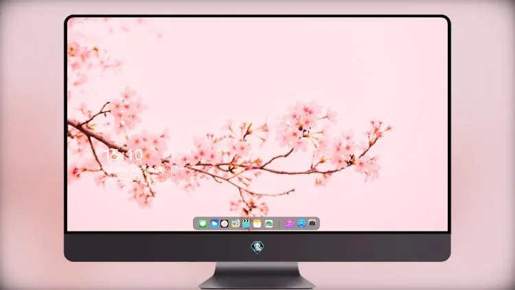 
开花花卉植物 5k壁纸超清桌面屏保