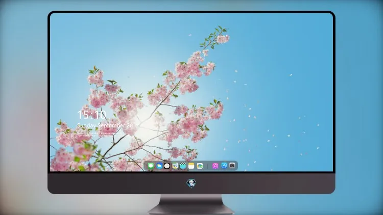 
盛开的花朵