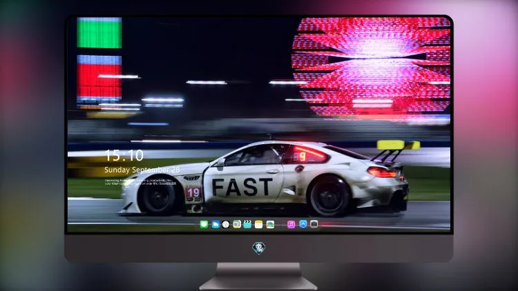 
宝马 M6 GTLM 艺术车