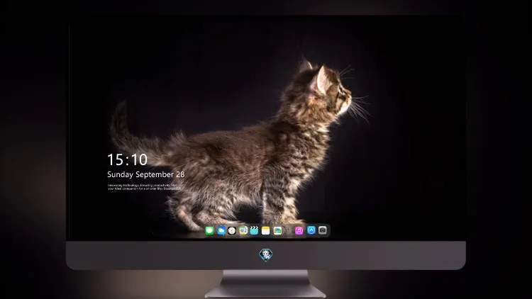 
猫科动物
