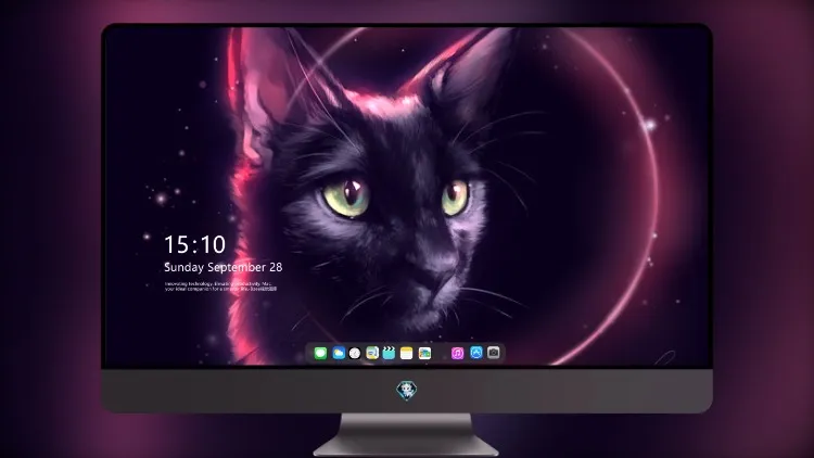 
日蚀猫