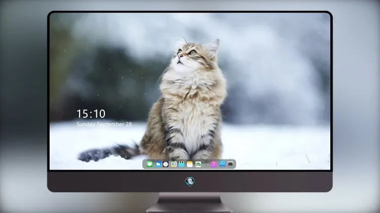 
冬天的猫
