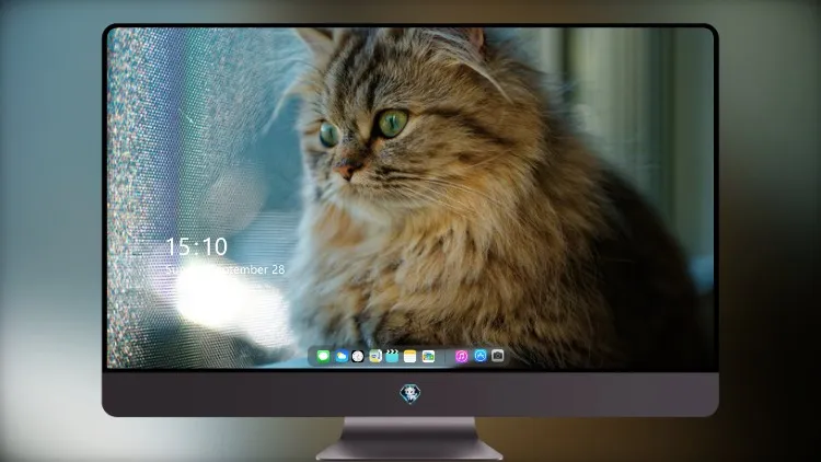 
猫透过窗户看