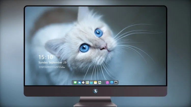 
猫枪口