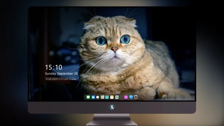 
猫海洋之眼