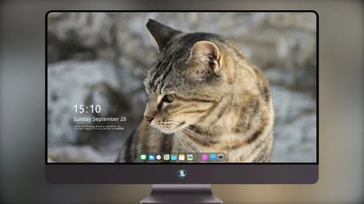 
猫肖像近距离视图 4k电脑壁纸