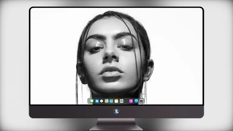 
Charli Xcx 单色