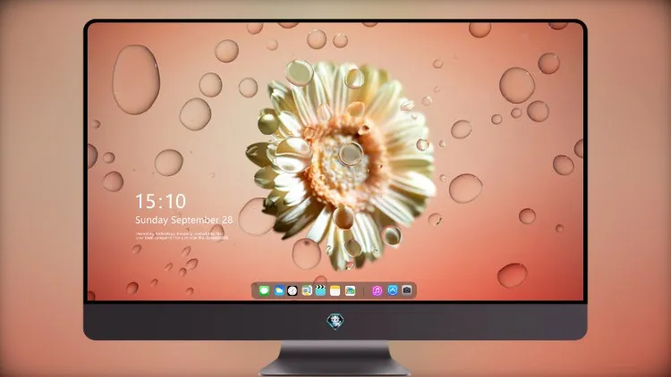 
Chromebook 花 4k电脑壁纸