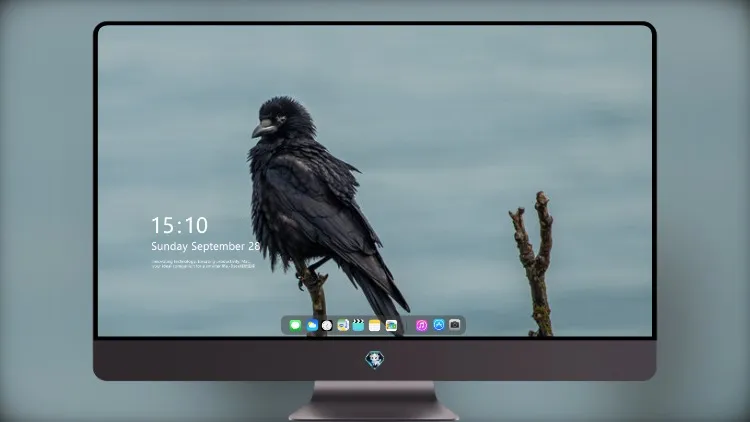 
乌鸦4k