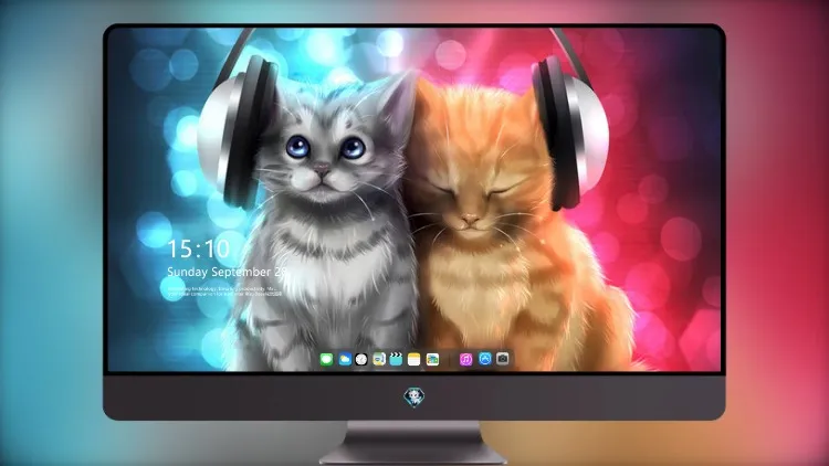 
可爱的猫听音乐