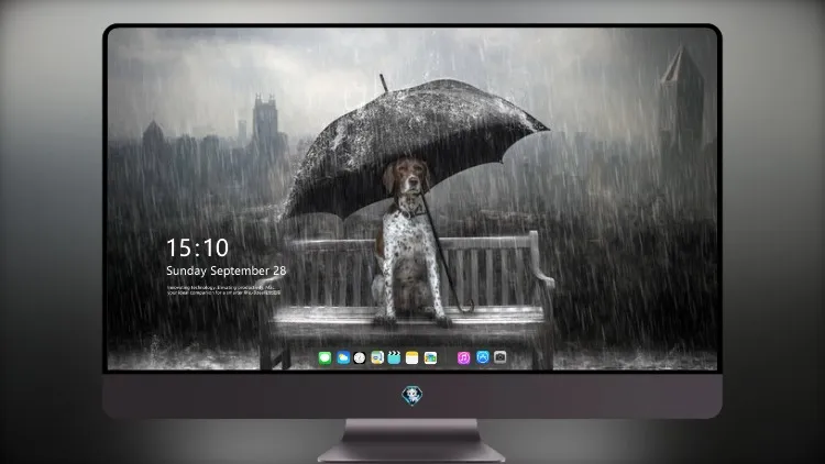 
狗雨伞照片处理