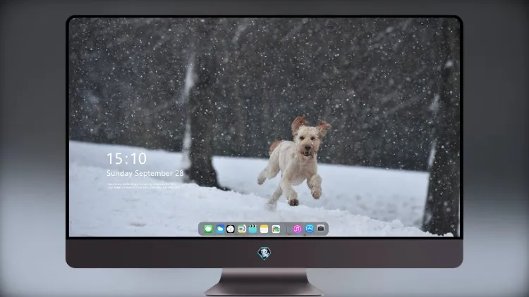
狗在雪地里奔跑