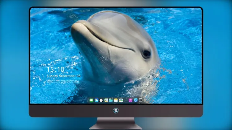 
海豚可爱