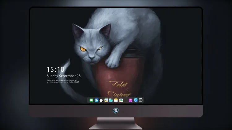 
灰猫