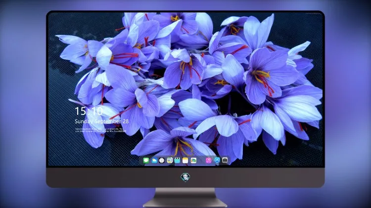 
鲜花4k