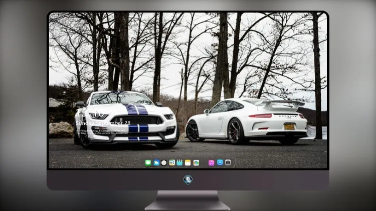 
福特野马 GT350 和保时捷 GT3