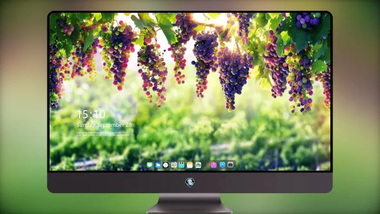 
葡萄8k