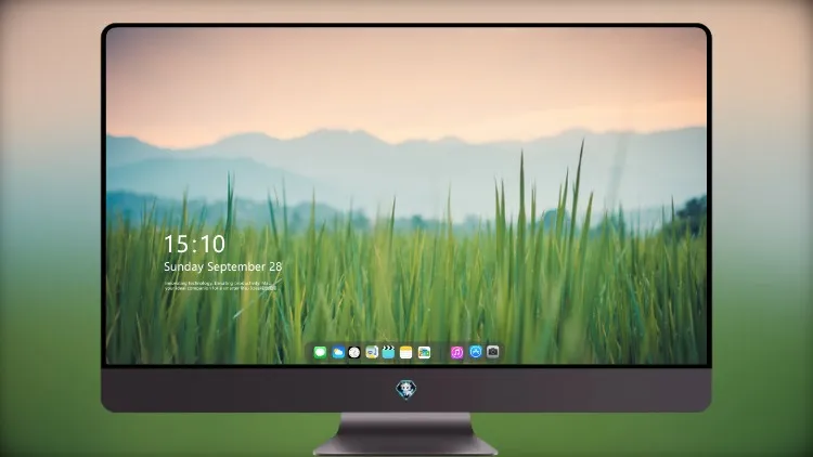 
草4k