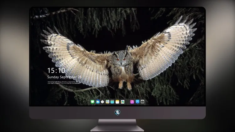 
大角鸮