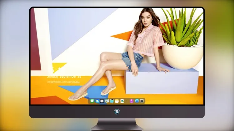 
海莉·斯坦菲尔德 歌手 8K超清图片素材