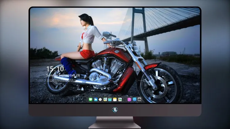 
哈雷戴维森 2015 与模型