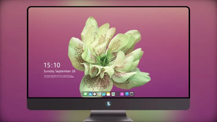 
Ios 11 花铁卢属