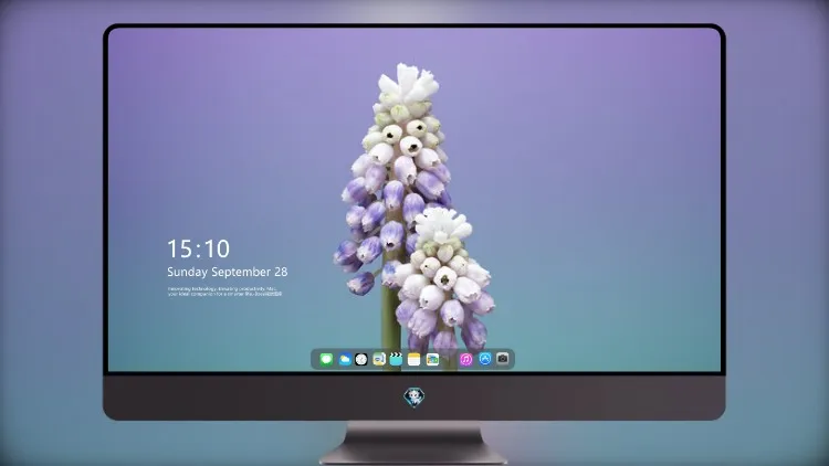 
Ios 11 花穆斯卡里