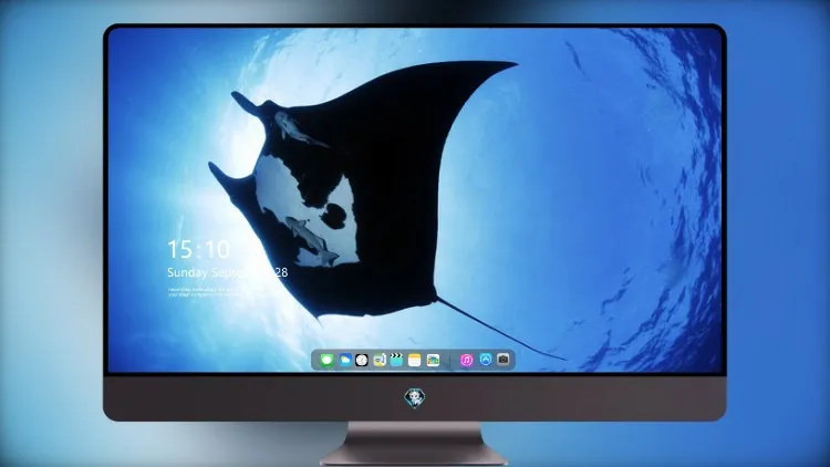 
蝠鲼海洋生物