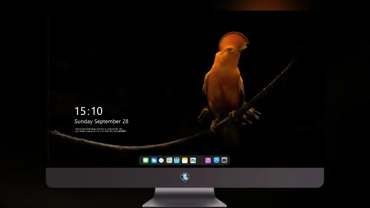 
橙色 鹦鹉 深色 Oled