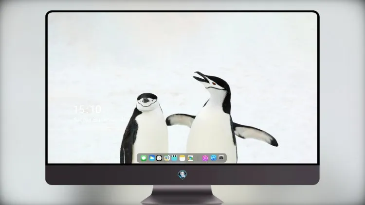 
雪中的企鹅 5k壁纸超清桌面屏保