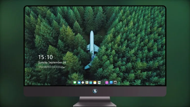 
飞机在森林中间 4k