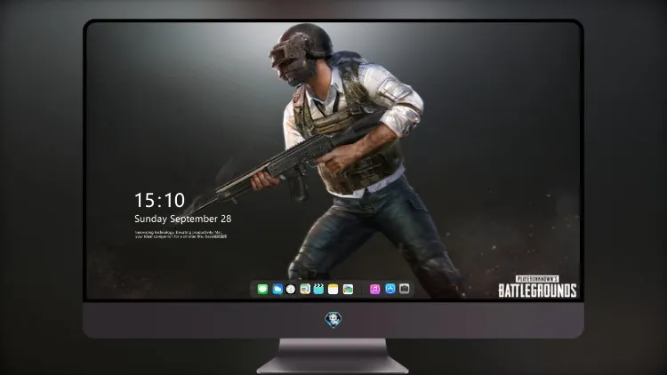 
PUBG 头盔男