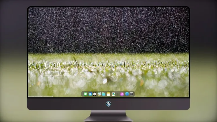 
草地上的雨滴