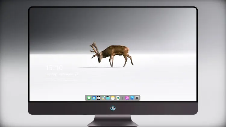 
驯鹿独自行走最小白色背景 4k电脑壁纸