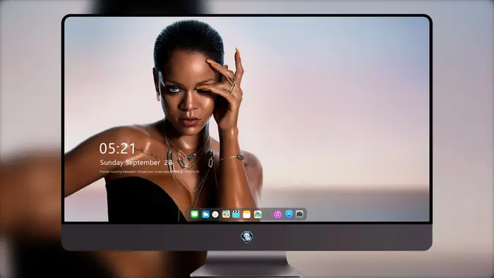 
蕾哈娜 (Rihanna) 珠宝系列 2017