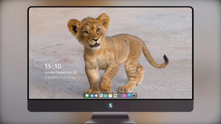 
辛巴艺术