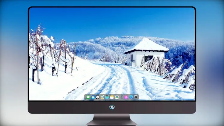 
雪屋