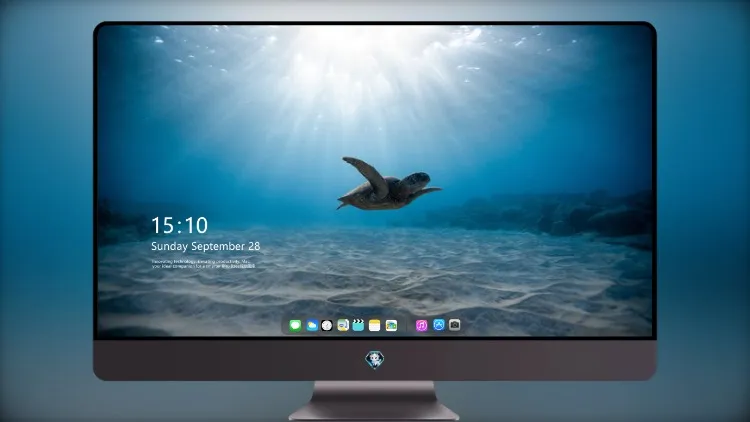 
海龟8k