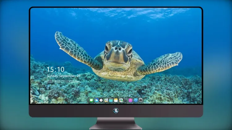 
海龟