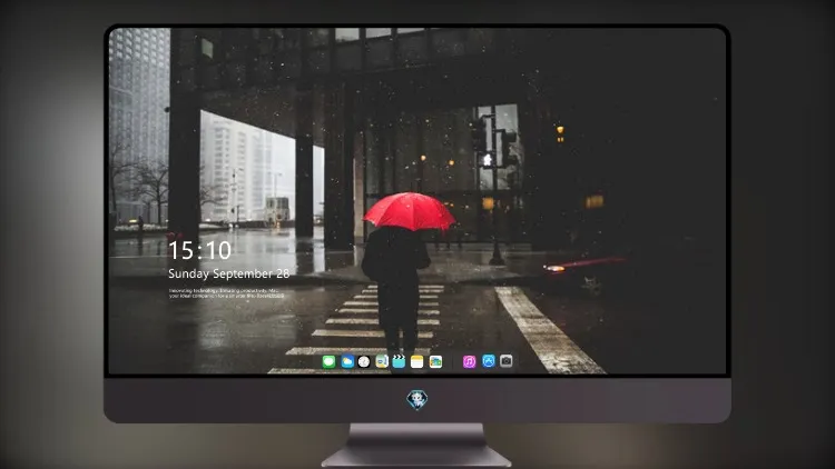 
雨伞人