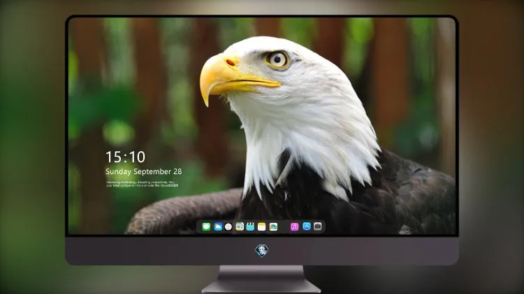 
白鹰4k