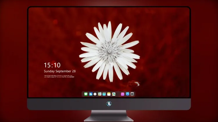 
白花8k