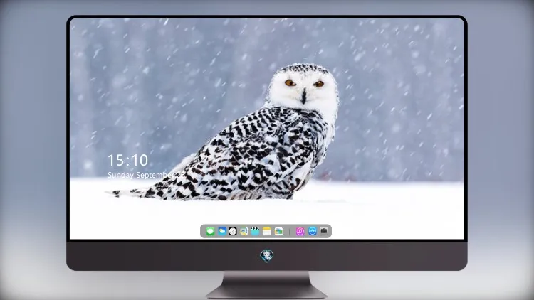 
雪中的白色猫头鹰 5k壁纸超清桌面屏保